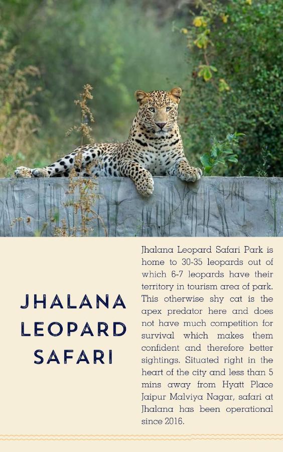 Hyatt Place Jaipur Malviya Nagar Kültér fotó Jhalana Leopard